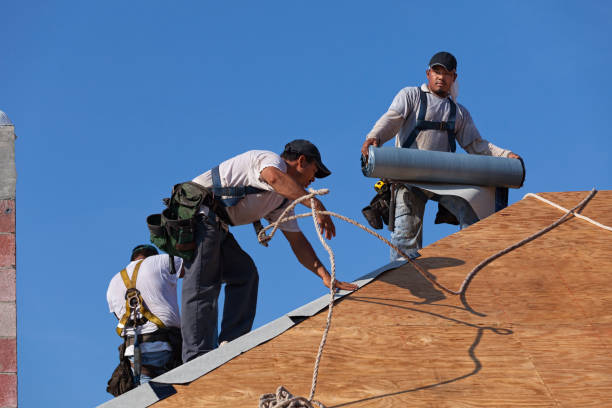 Roof Waterproofing Services in Andalusia, AL