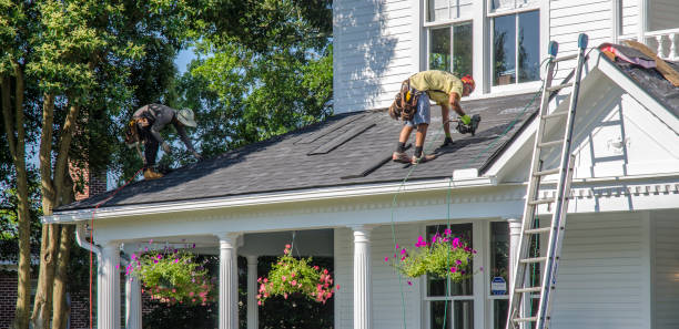 Best Gutter Installation and Roofing  in Andusia, AL